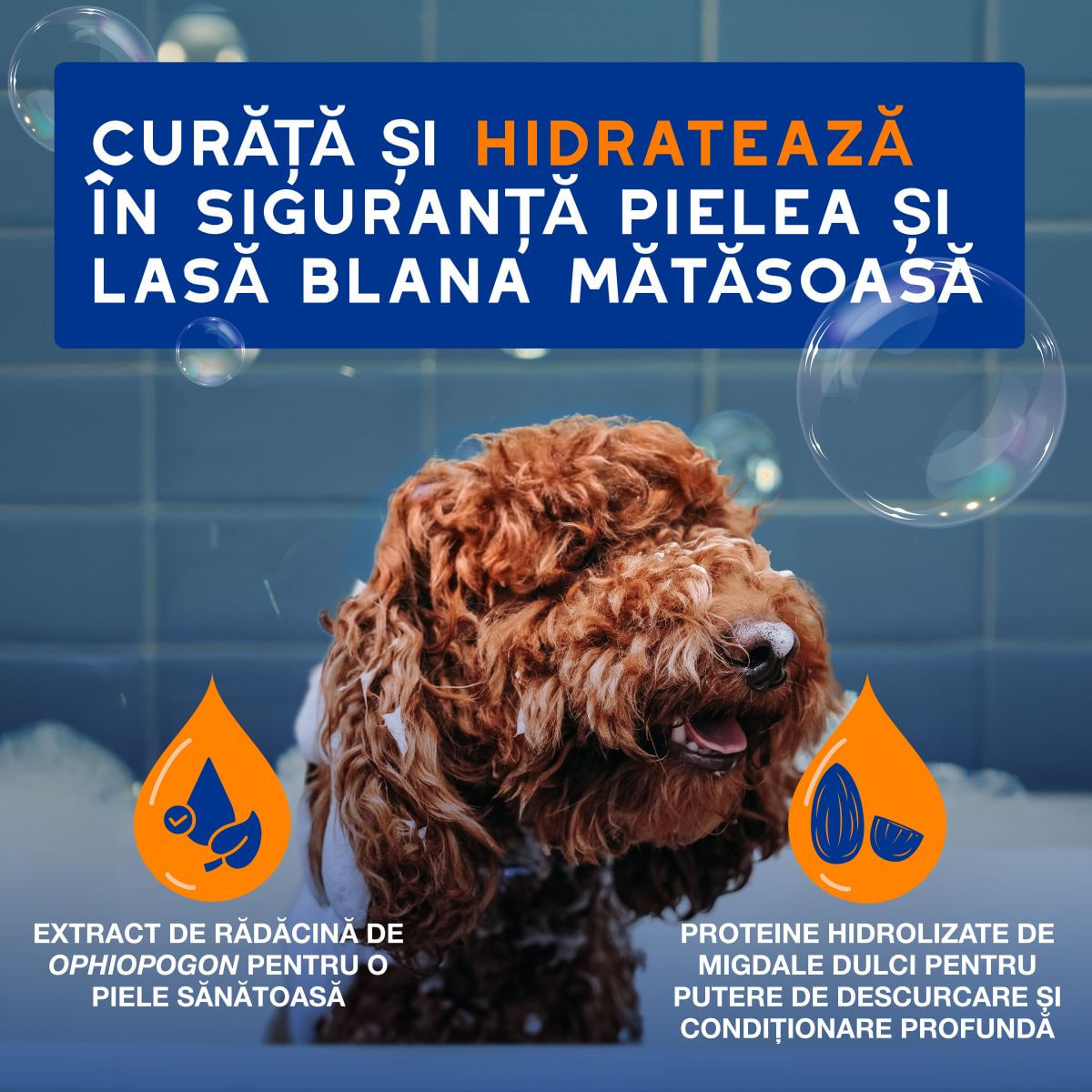 DOUXO SPA Shampoo 2 in 1 Conditioning, șampon și balsam 2în1 câini, descâlcirea blănii, Vanilie și Nucă de cocos, flacon, 250ml - poza 3