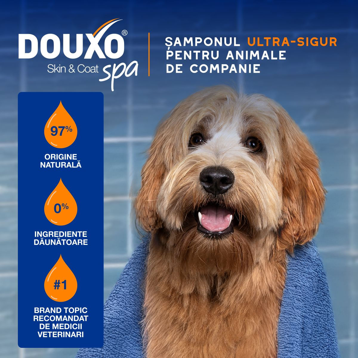 DOUXO SPA Shampoo 2 in 1 Conditioning, șampon și balsam 2în1 câini, descâlcirea blănii, Vanilie și Nucă de cocos, flacon, 250ml - poza 5