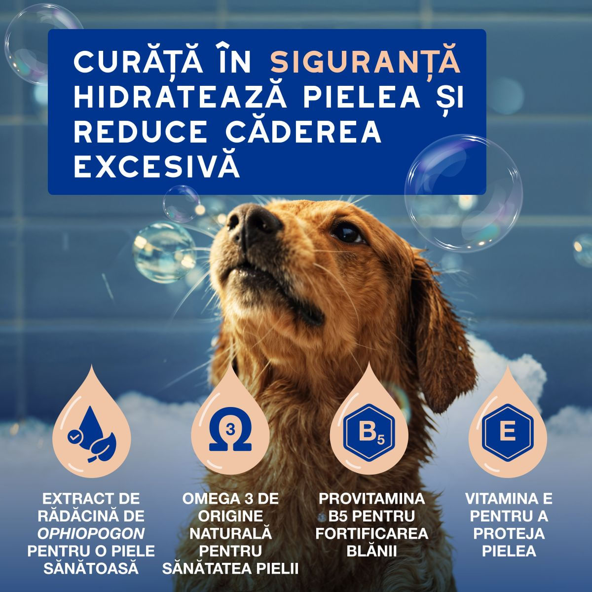 DOUXO SPA Shed Control, șampon câini, anti-năpârlire, Vanilie și Nucă de cocos, flacon, 250ml - poza 3