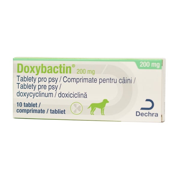 Doxybactin, 10 tablete - poza 2