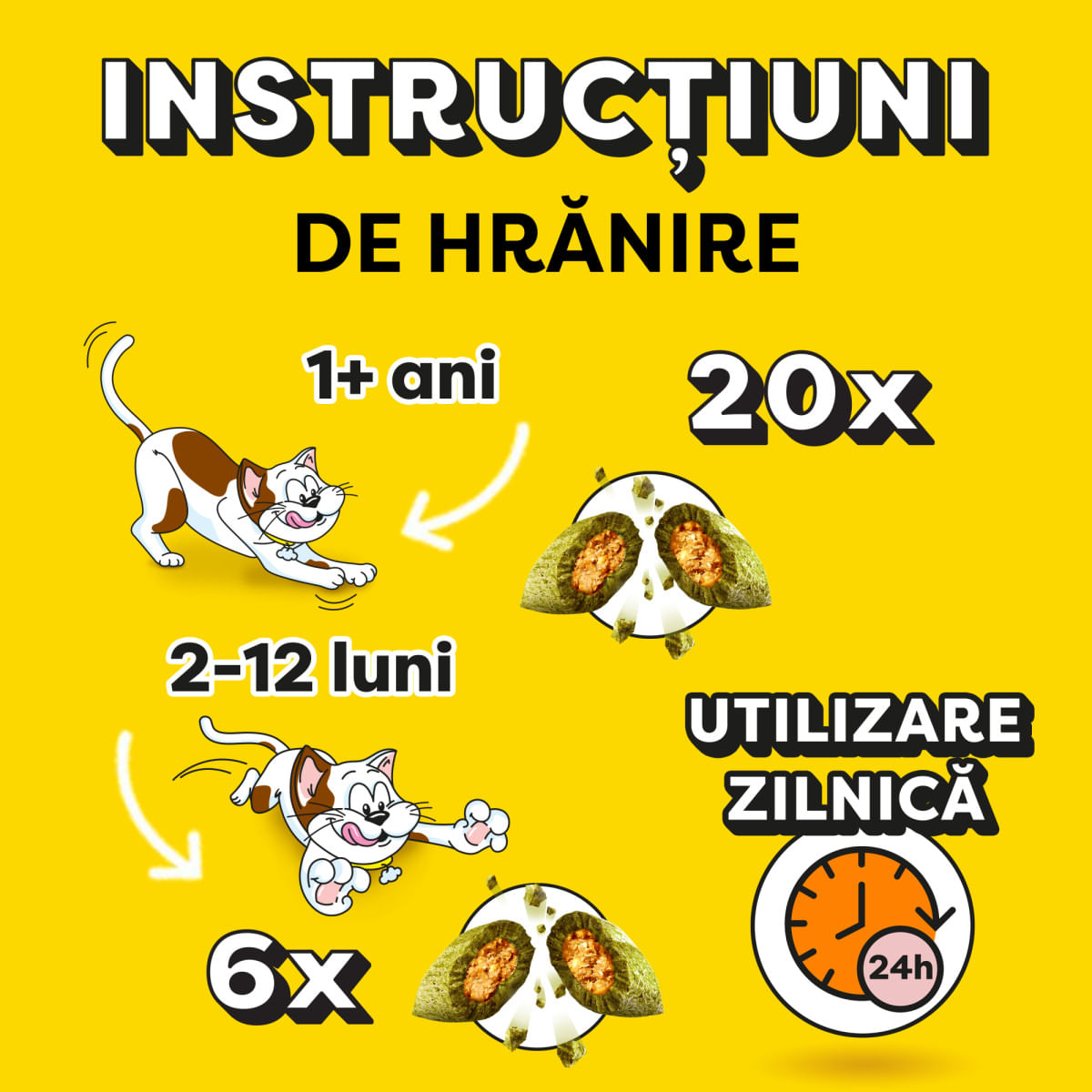DREAMIES Catnip, punguță recompense pisici, 60g - poza 4