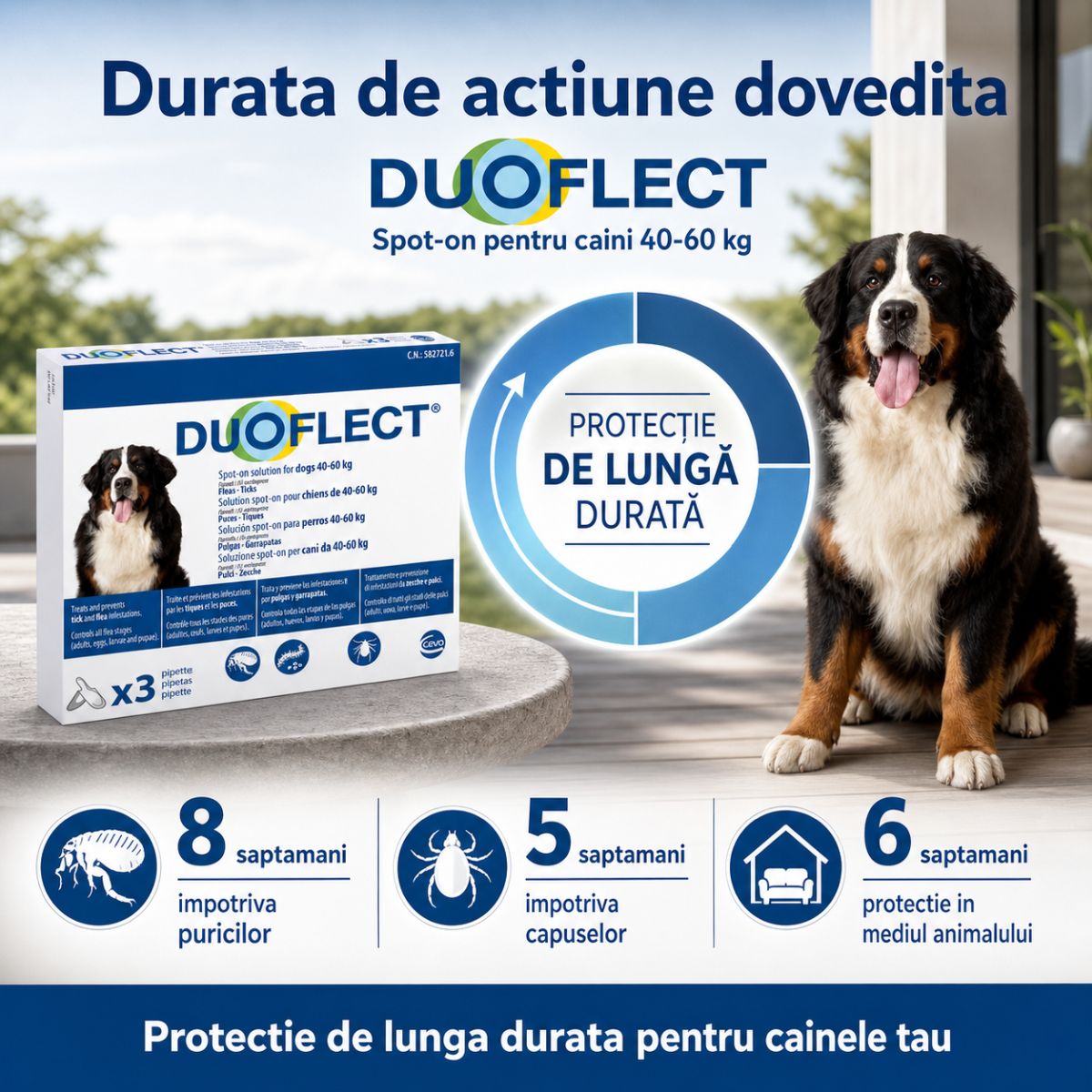 DUOFLECT, spot-on, solutie antiparazitara DUOFLECT, spot-on, soluție antiparazitară, câini 40-60kg, 3 pipete - poza 3