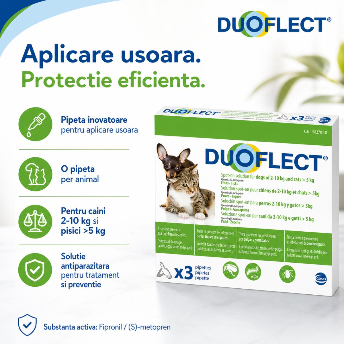 DUOFLECT, spot-on, solutie antiparazitara DUOFLECT, spot-on, soluție antiparazitară, pisici >5kg și câini 2-10kg, 3 pipete - poza 5