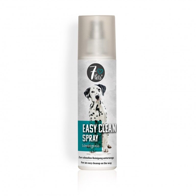 Easy Clean Spray, 200 ml
