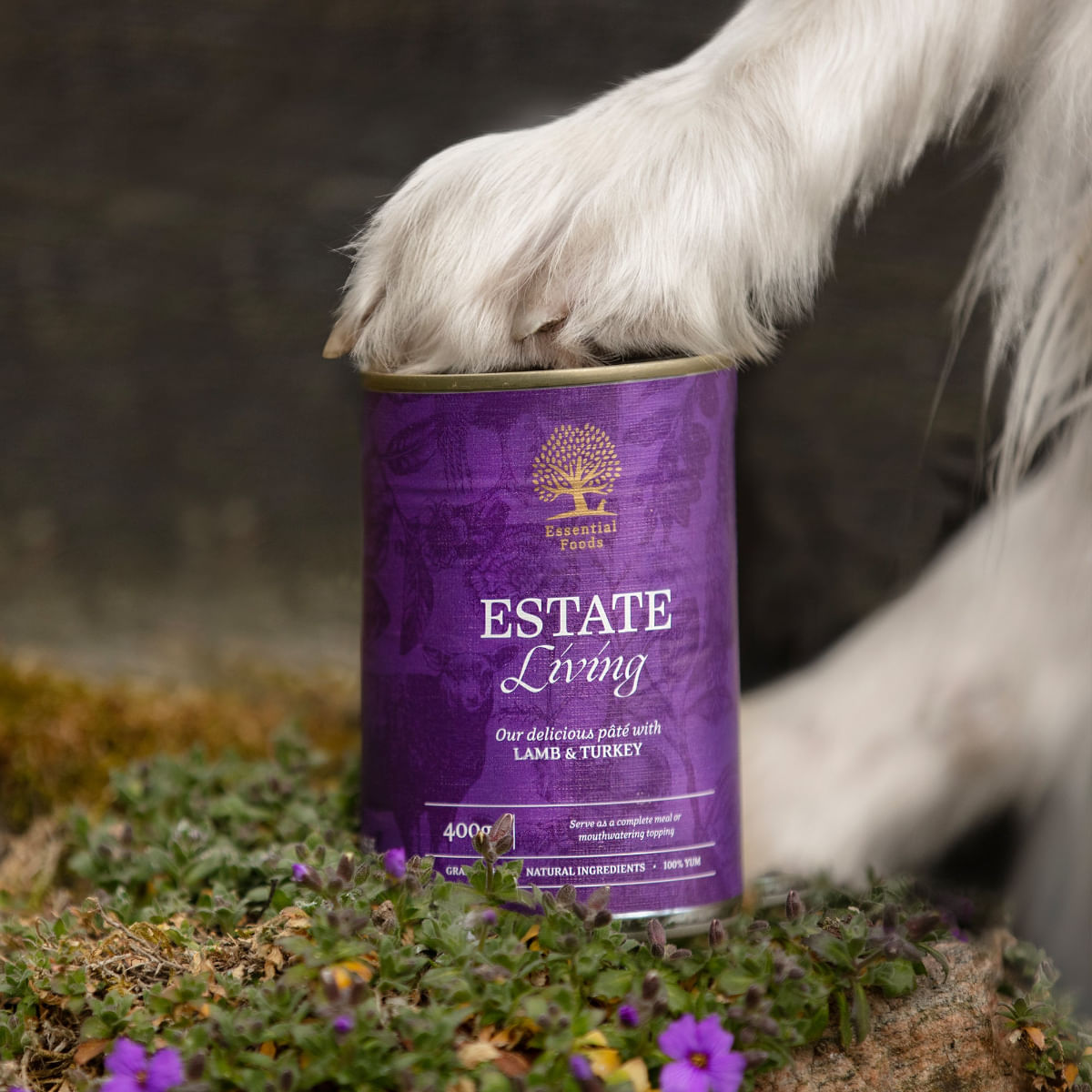 ESSENTIAL Estate Living, XS-XL, Miel și Curcan, conservă hrană umedă fără cereale câini, (pate), 400g - poza 3
