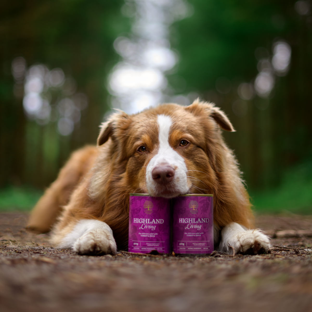 ESSENTIAL Highland Living, XS-XL, Curcan și Rață, conservă hrană umedă fără cereale câini, (pate), 400g - poza 3