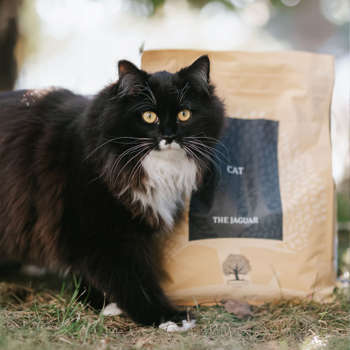ESSENTIAL Jaguar, Rață și Pui, hrană uscată fără cereale pisici, 3kg - poza 3