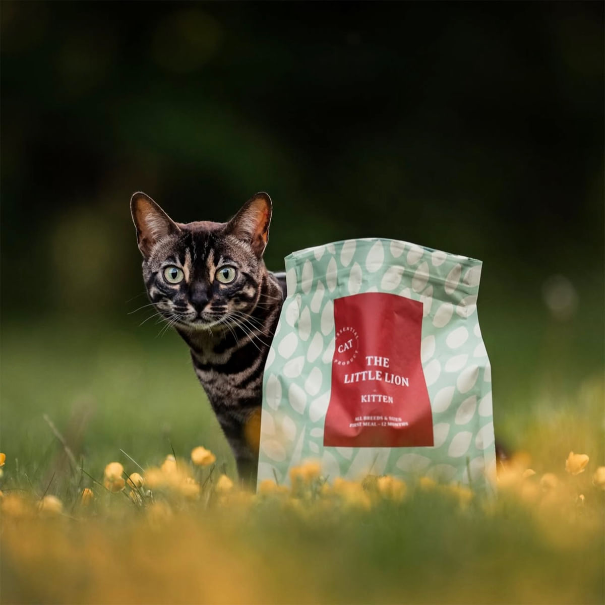 ESSENTIAL Little Lion, Pui și Rață, hrană uscată fără cereale pisici junior, 1.5kg - poza 3