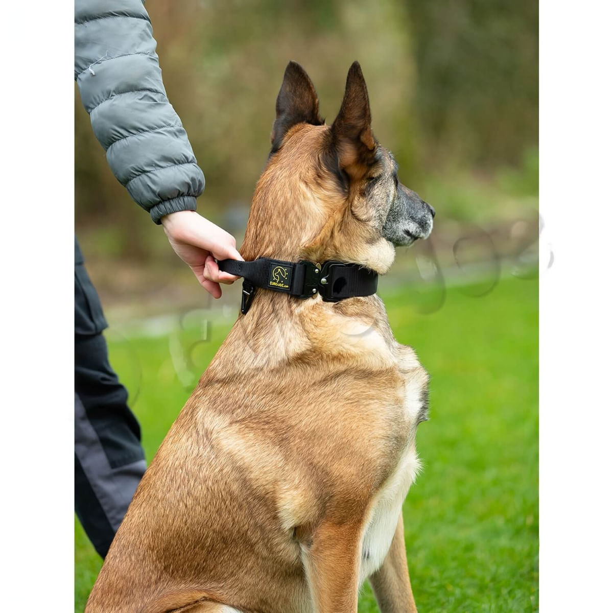 EURO JOE Tactical TC2+, zgardă câini, mâner control, nylon, negru, cataramă Cobra, L(26-52 x 3.8cm) - poza 3