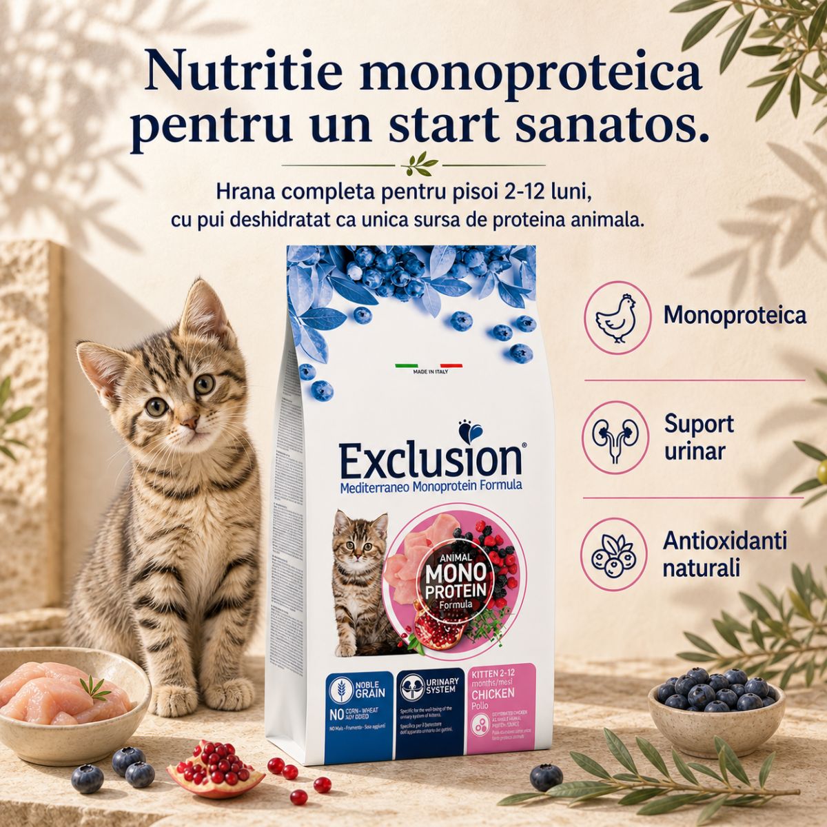 EXCLUSION Mediterraneo Monoprotein Formula Kitten, Pui, hrană uscată monoproteică pisici junior, 12kg - poza 4