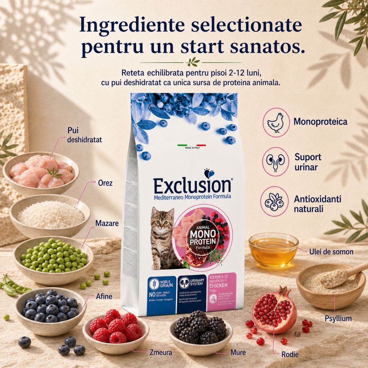 EXCLUSION Mediterraneo Monoprotein Formula Kitten, Pui, hrană uscată monoproteică pisici junior, 12kg - poza 5