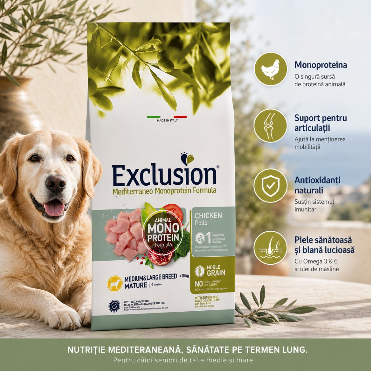 EXCLUSION Mediterraneo Monoprotein Formula Mature Medium&Large, M-XL, Pui, hrană uscată monoproteică câini senior, 12kg - poza 4