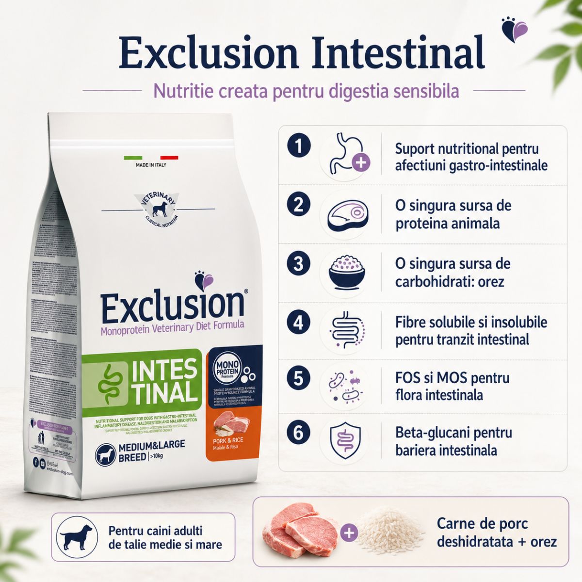 EXCLUSION Monoprotein VD Intestinal, Porc și Orez, dietă veterinară, hrană uscată pisici, sistem digestiv, 1.5kg - poza 4