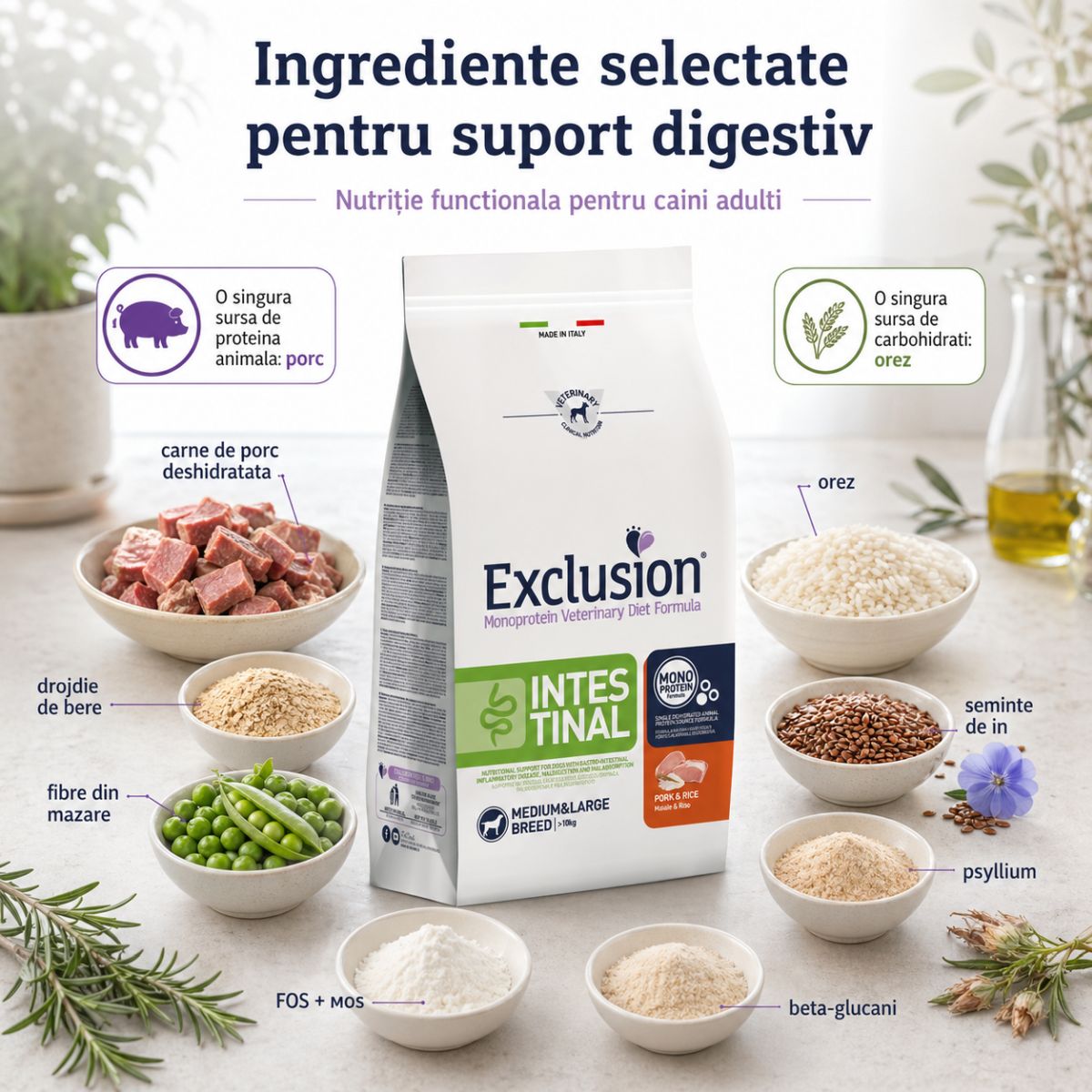 EXCLUSION Monoprotein VD Intestinal, Porc și Orez, dietă veterinară, hrană uscată pisici, sistem digestiv, 1.5kg - poza 5