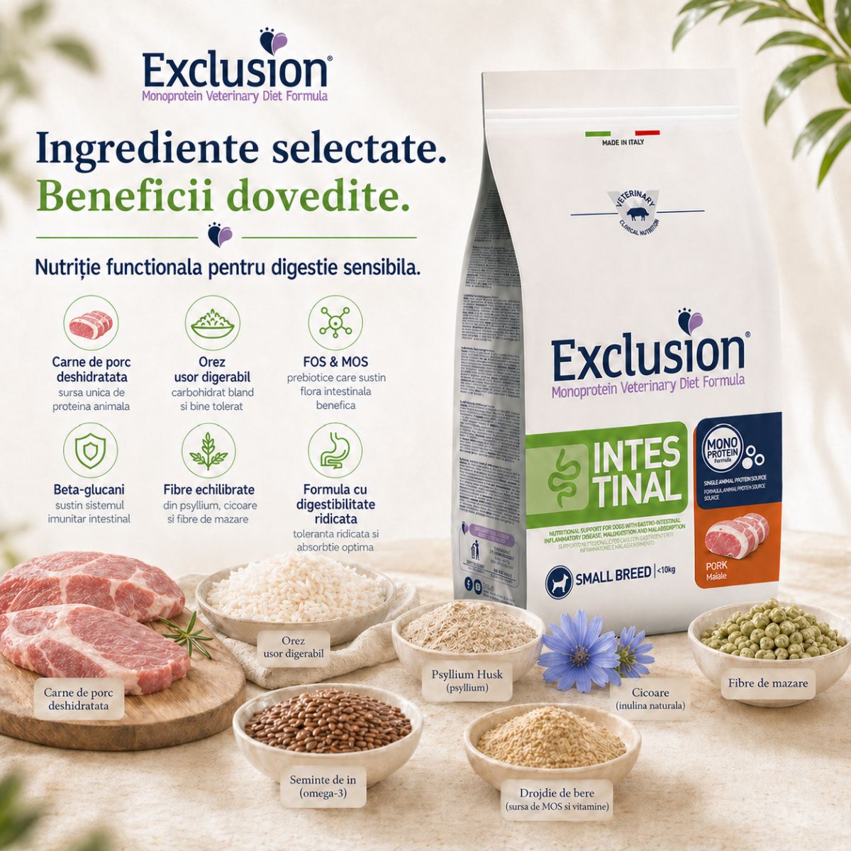 EXCLUSION Monoprotein VD Intestinal Small, XS-S, Porc și Orez, dietă veterinară, hrană uscată câini, sistem digestiv, 2kg - poza 5