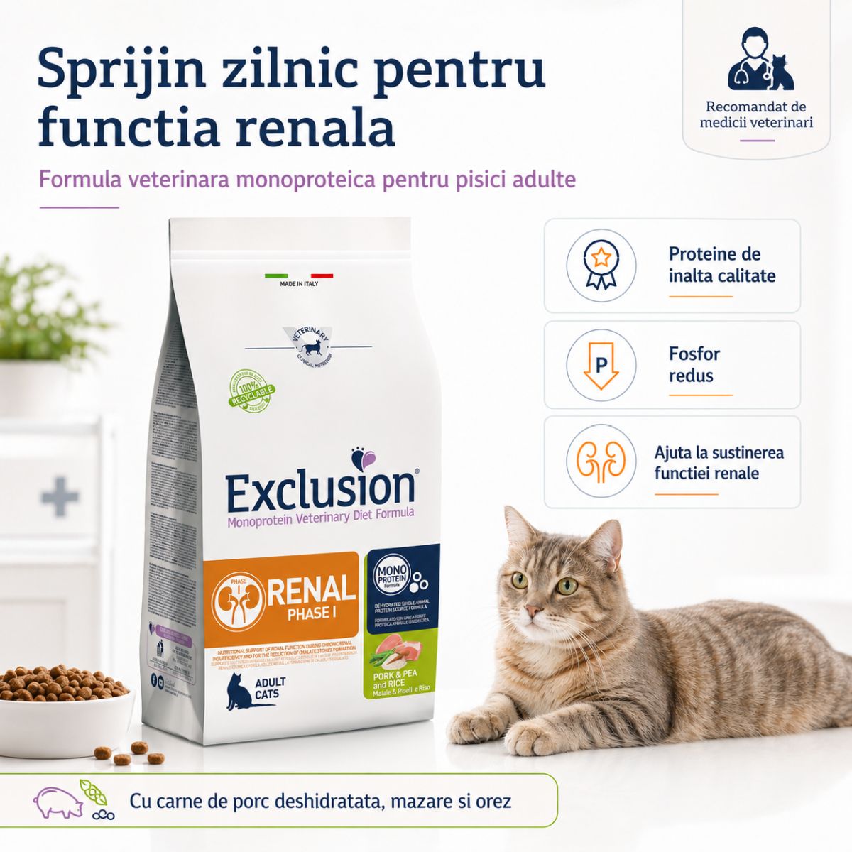 EXCLUSION Monoprotein VD Renal Phase 1, Porc și Orez, dietă veterinară, hrană uscată pisici, sistem renal, 1.5kg - poza 4