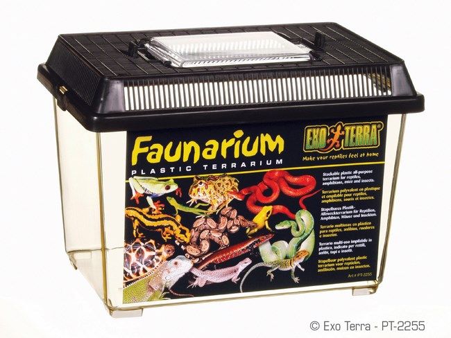 Exo Terra Faunarium Small PT 2255