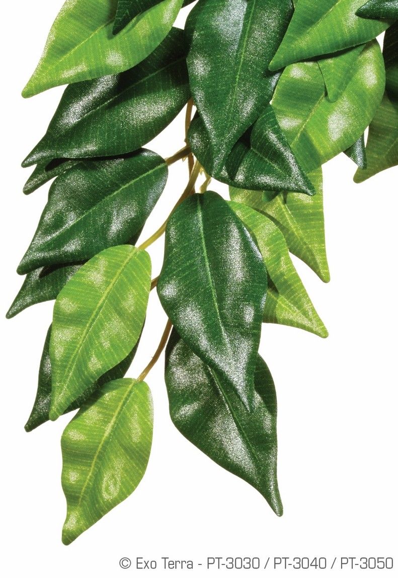 Exo Terra Planta Ficus Large 70 CM PT3050