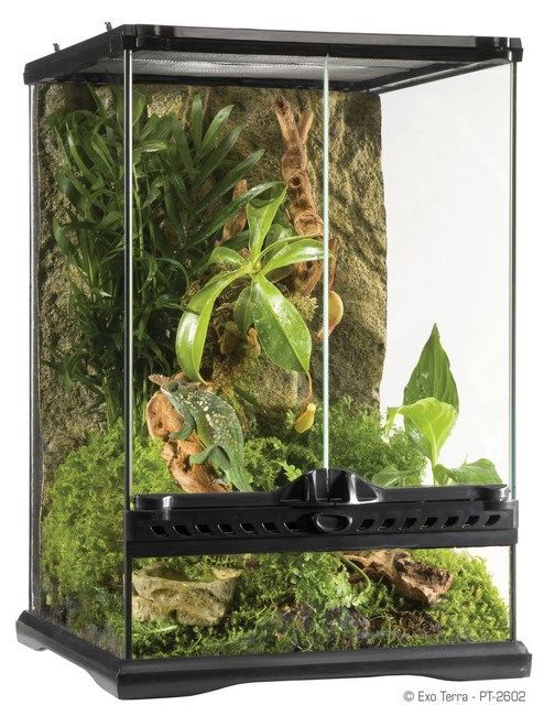 Exo Terra Terariu Sticla 30X30X45 cm PT2602