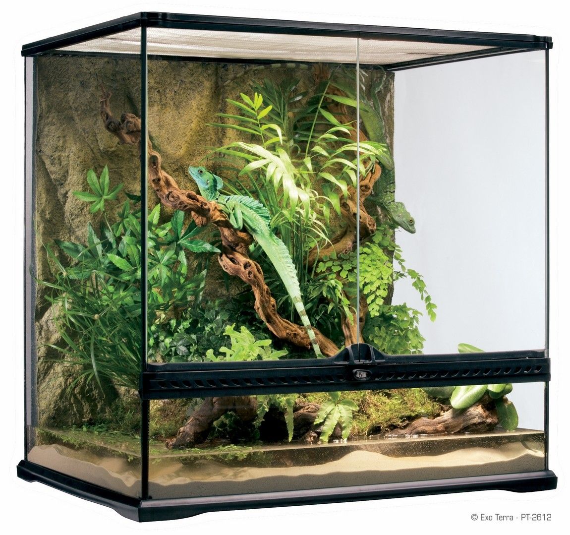 Exo Terra Terariu Sticla 60X45X60 cm PT2612