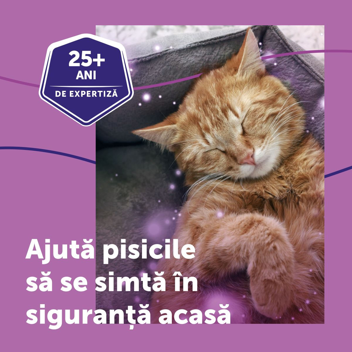 Feliway Diffuser Anti Stres Pentru Pisici, 48 ml - poza 5