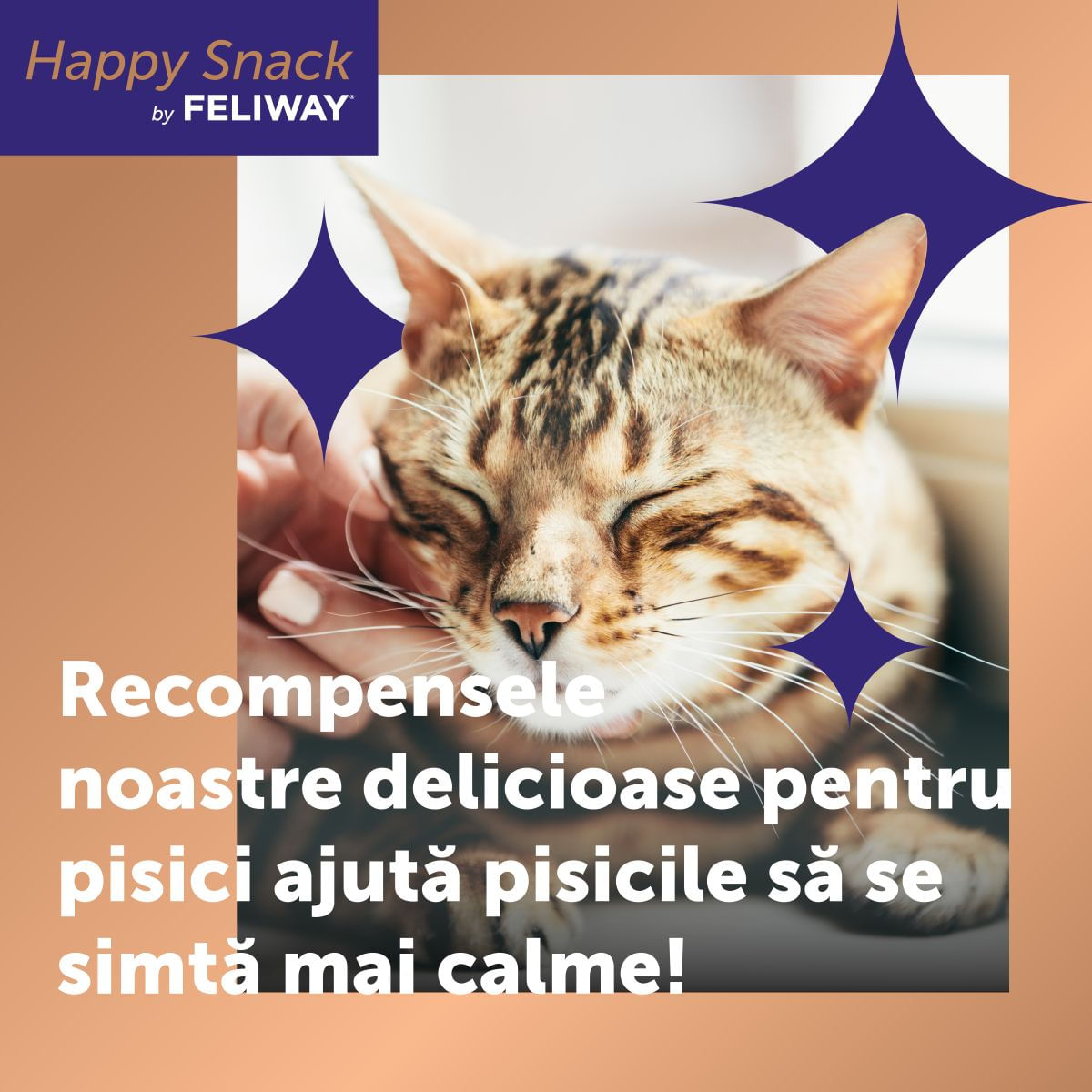 FELIWAY Happy Snack, Pui, plic recompense funcționale pisici, sistem nervos & calmante, (topping), 15g x 6buc - poza 3