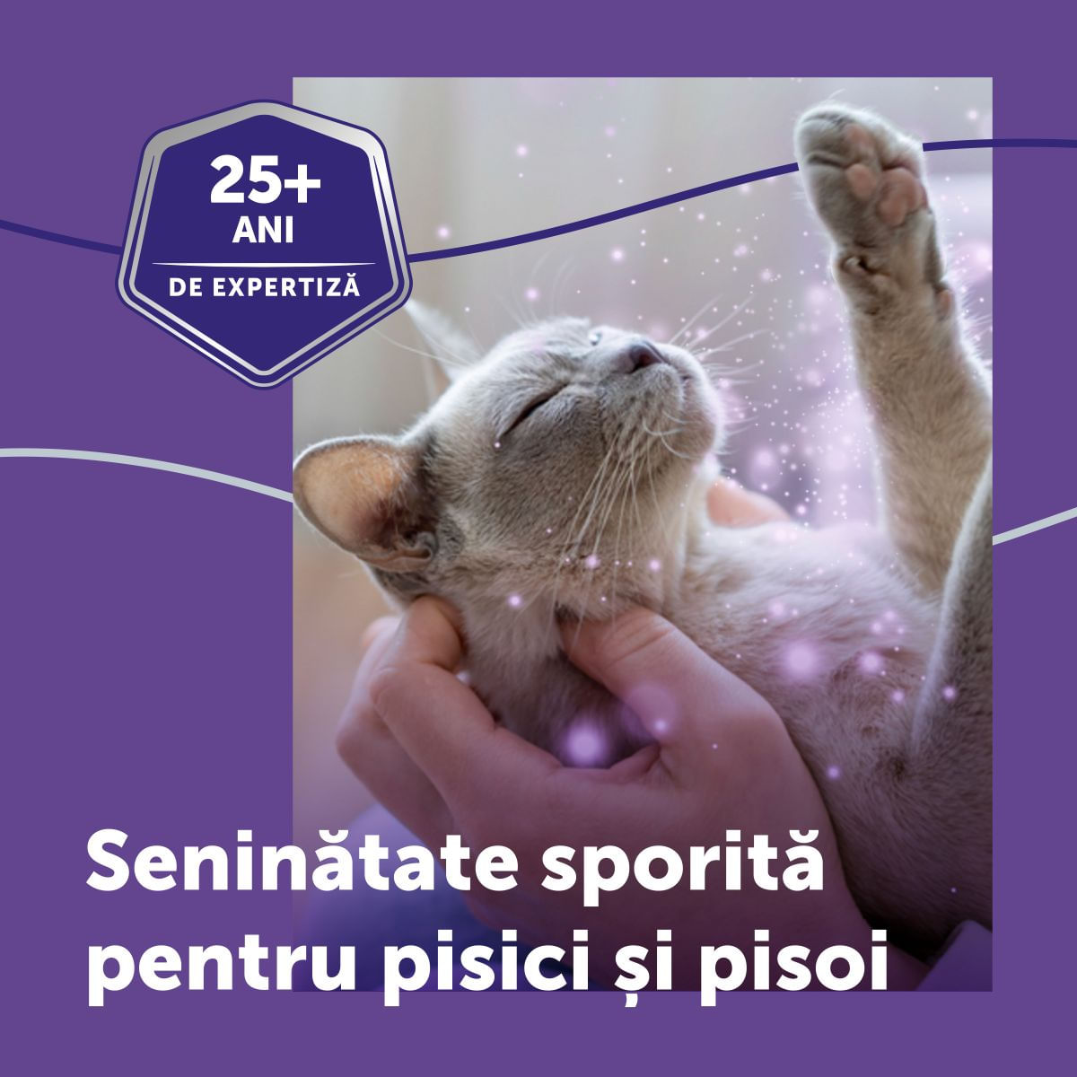 FELIWAY Optimum Diffuser și Rezervă, feromoni, sistem nervos & calmante pisici, 1buc + 48ml - poza 5