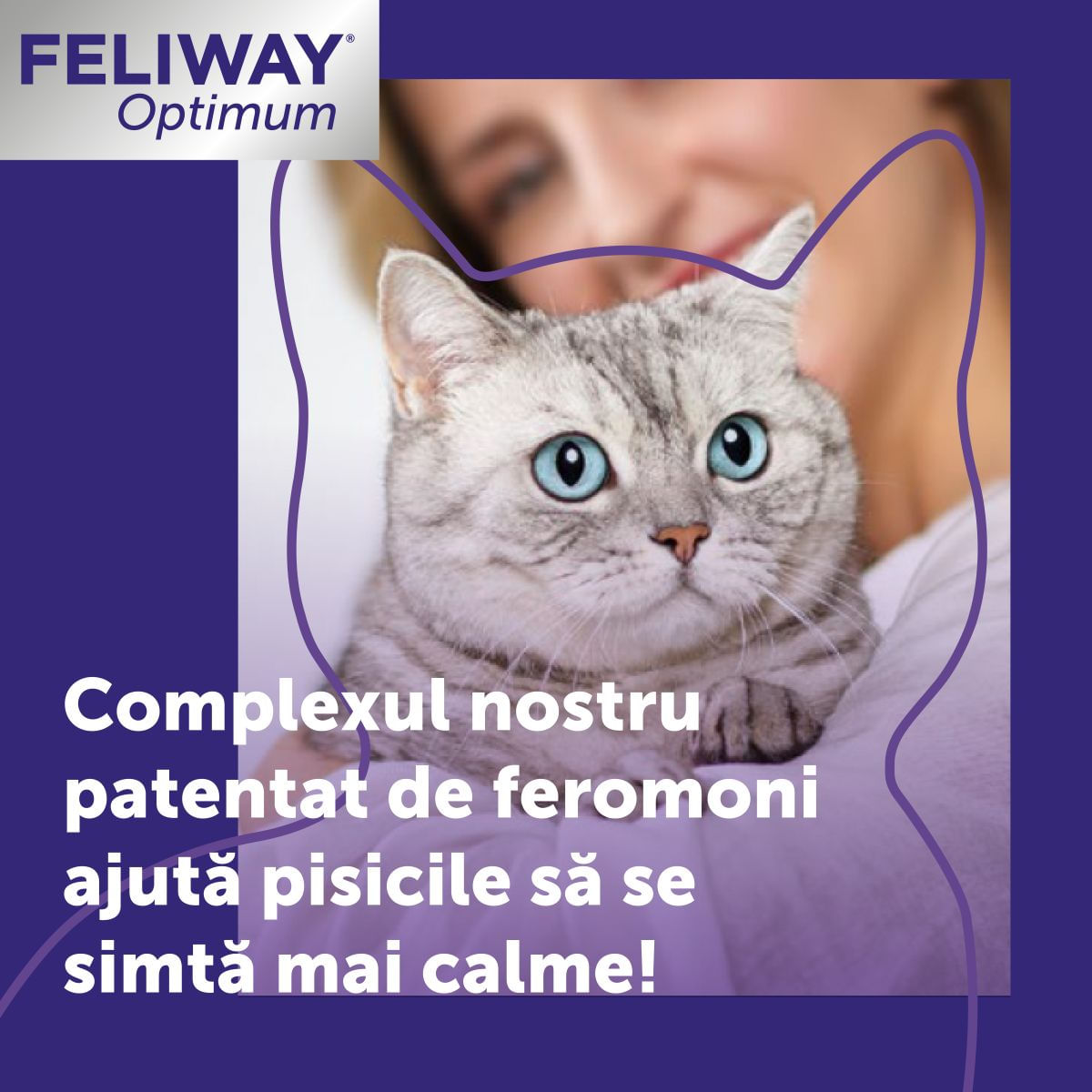 FELIWAY Optimum Rezervă diffuser, feromoni, sistem nervos & calmante pisici, 48ml - poza 3