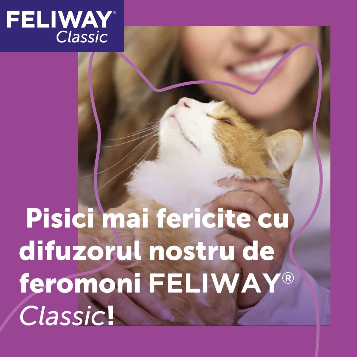 Feliway Rezerva Diffuser Anti Stres Pentru Pisici, 48 ml - poza 3