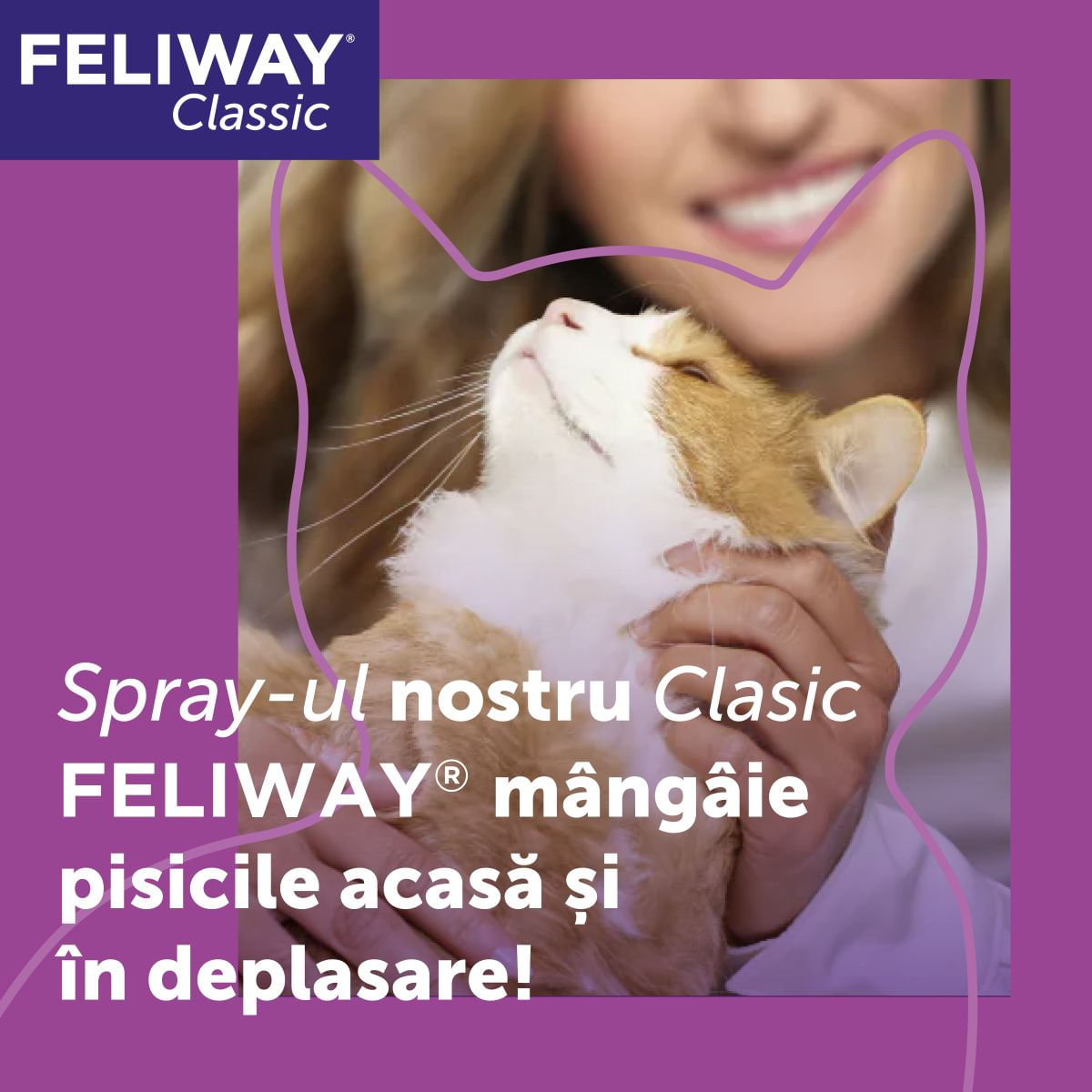 Feliway Spray 60 ml - poza 3