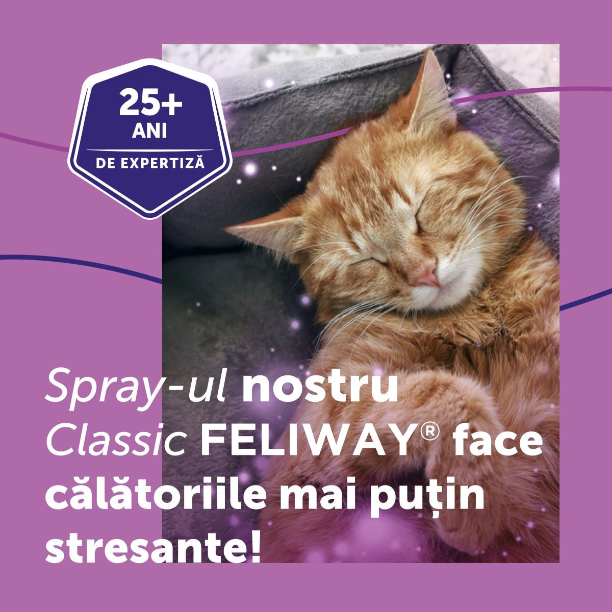 Feliway Spray 60 ml - poza 5