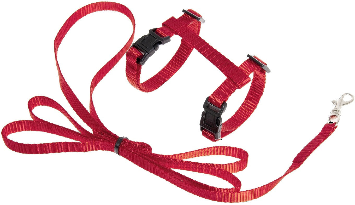 FLAMINGO Ham şi lesă pentru pisicuţe, cataramă click 10mm/120cm