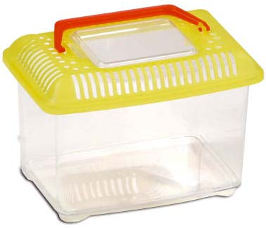 FOP Acvariu din plastic cu capac, diverse culori