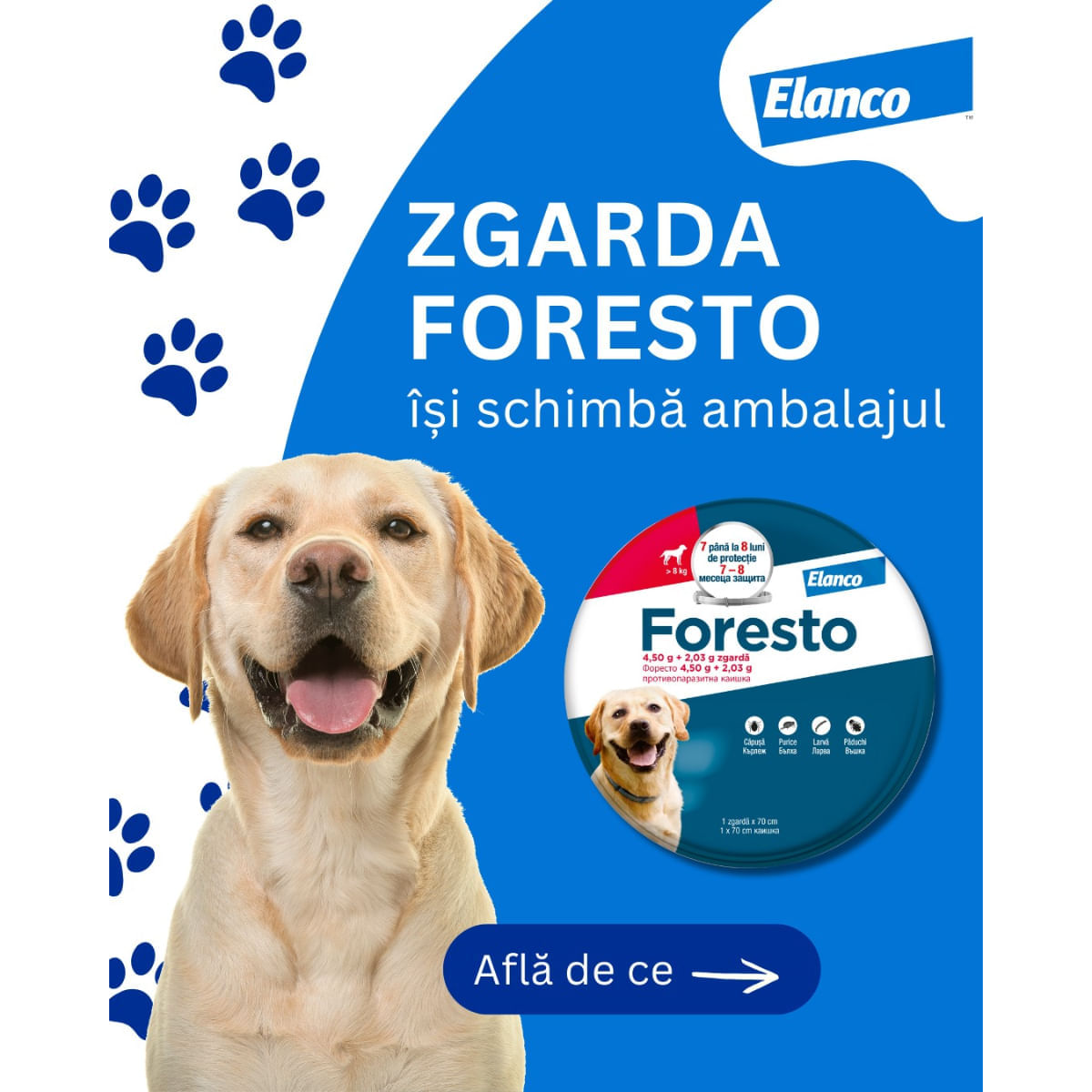 Foresto, deparazitare externă câini, zgardă Foresto, deparazitare externă câini și pisici, zgardă, XS - S, 38 cm, gri, 1buc - poza 3