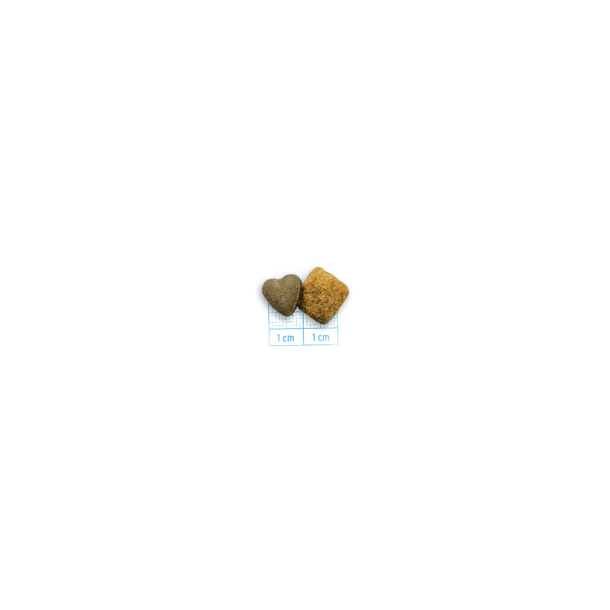 FORZA10 Active VetDiet Chondro, XS-XL, Pește, dietă veterinară, hrană uscată monoproteică câini, sistem articular, 10kg - poza 4
