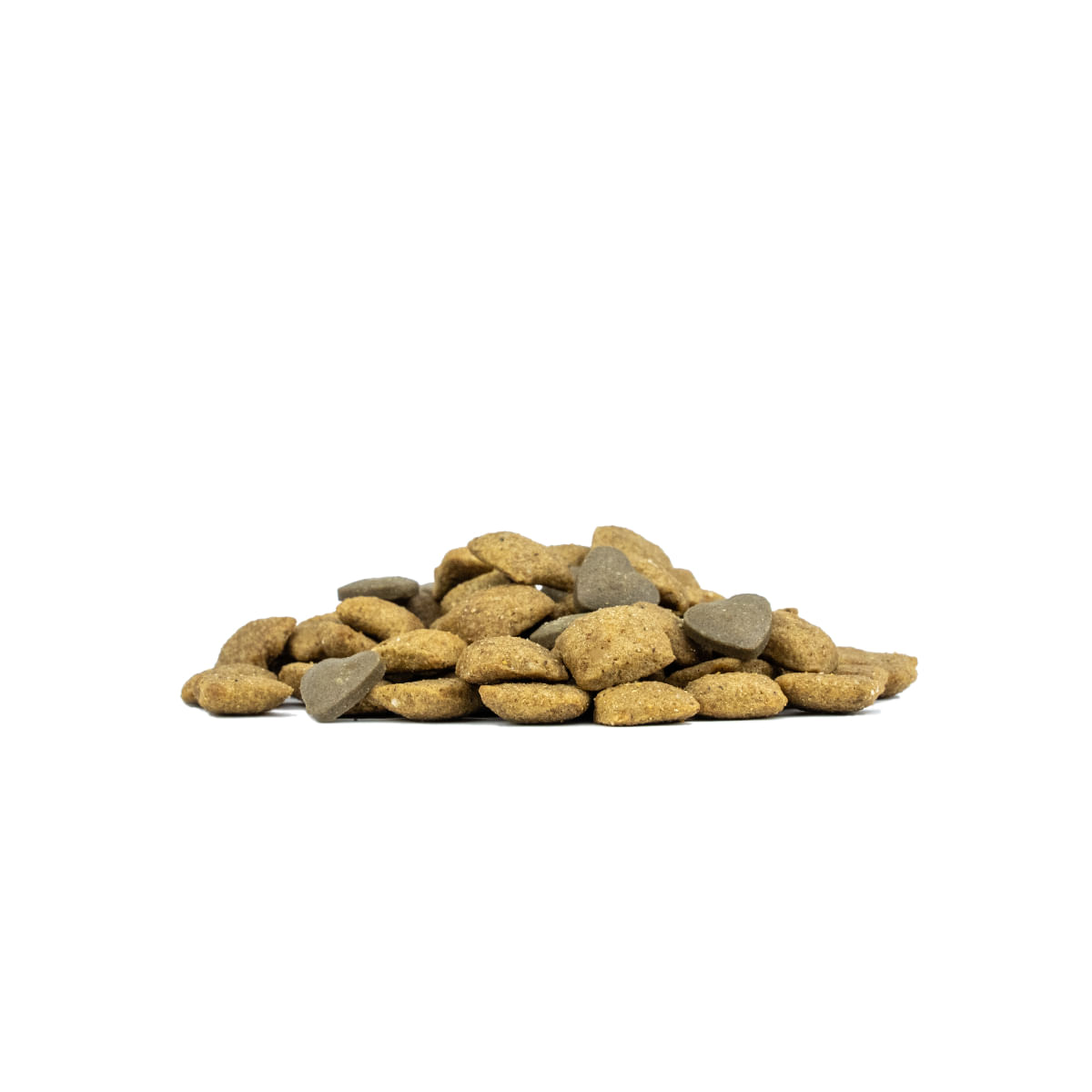 FORZA10 Active VetDiet Dermato, XS-XL, Pește, dietă veterinară, hrană uscată monoproteică câini, piele & blană, 10kg - poza 5