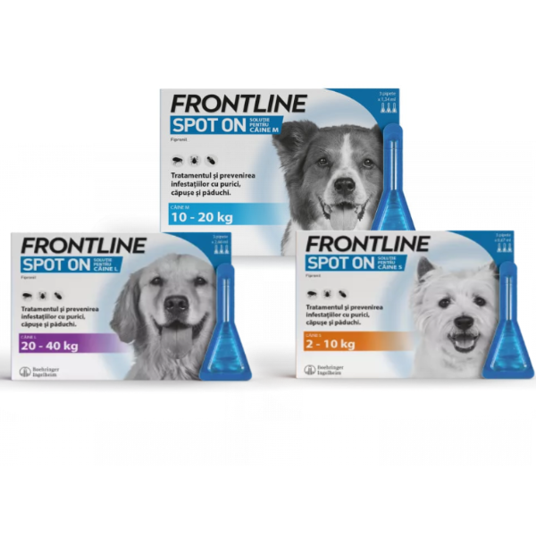 Frontline Caine - m
