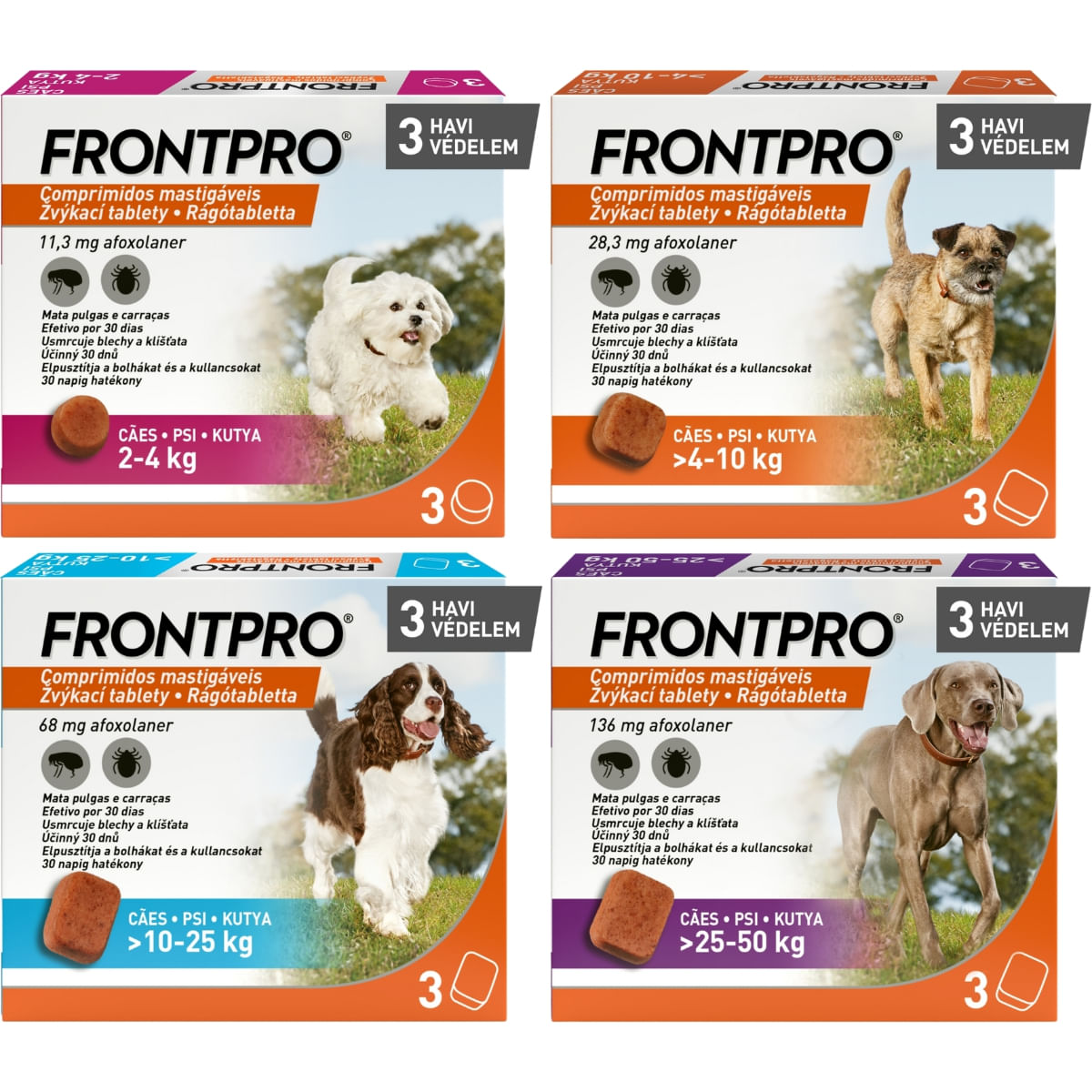 FRONTPRO, deparazitare externă câini, comprimate masticabile FRONTPRO, deparazitare externă câini, L(10 - 25kg), comprimate masticabile, 68mg x 3buc - poza 4