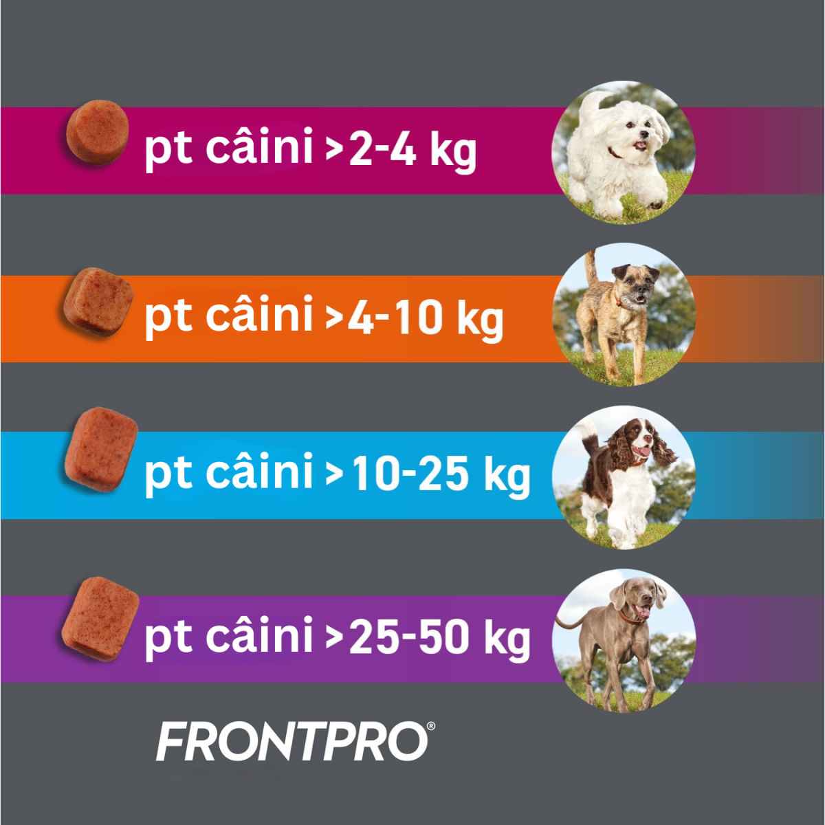 FRONTPRO, deparazitare externă câini, comprimate masticabile FRONTPRO, deparazitare externă câini, XS-S(2 - 4kg), comprimate masticabile, 11mg x 3buc - poza 3