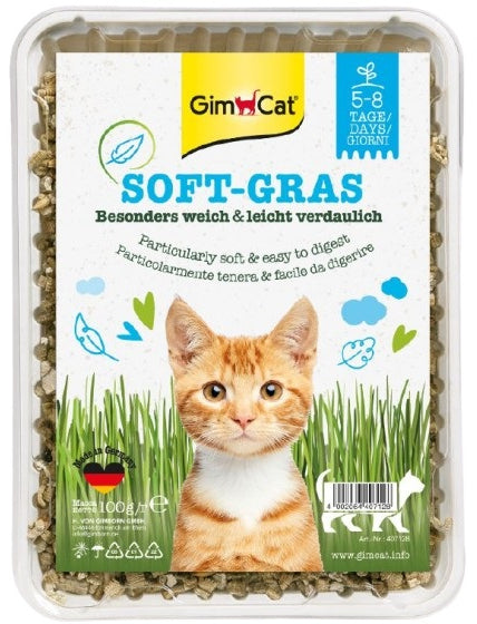GIMCAT Iarbă pentru pisici 100g