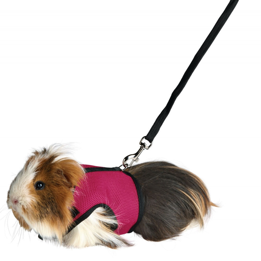 Ham si Lesa Trixie pentru Porcusori de Guineea - poza 4