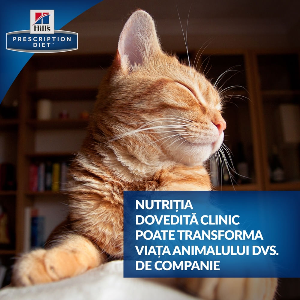 Hill's PD Feline k/d - Afectiuni Renale, 156 g - poza 3