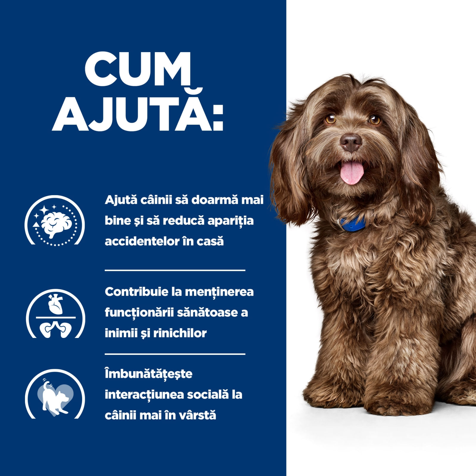 HILL'S Prescription Diet b/d Ageing and Alertness Care, Pui, dietă veterinară câini senior, hrană uscată, sistem nervos & calmante, 3kg - poza 5