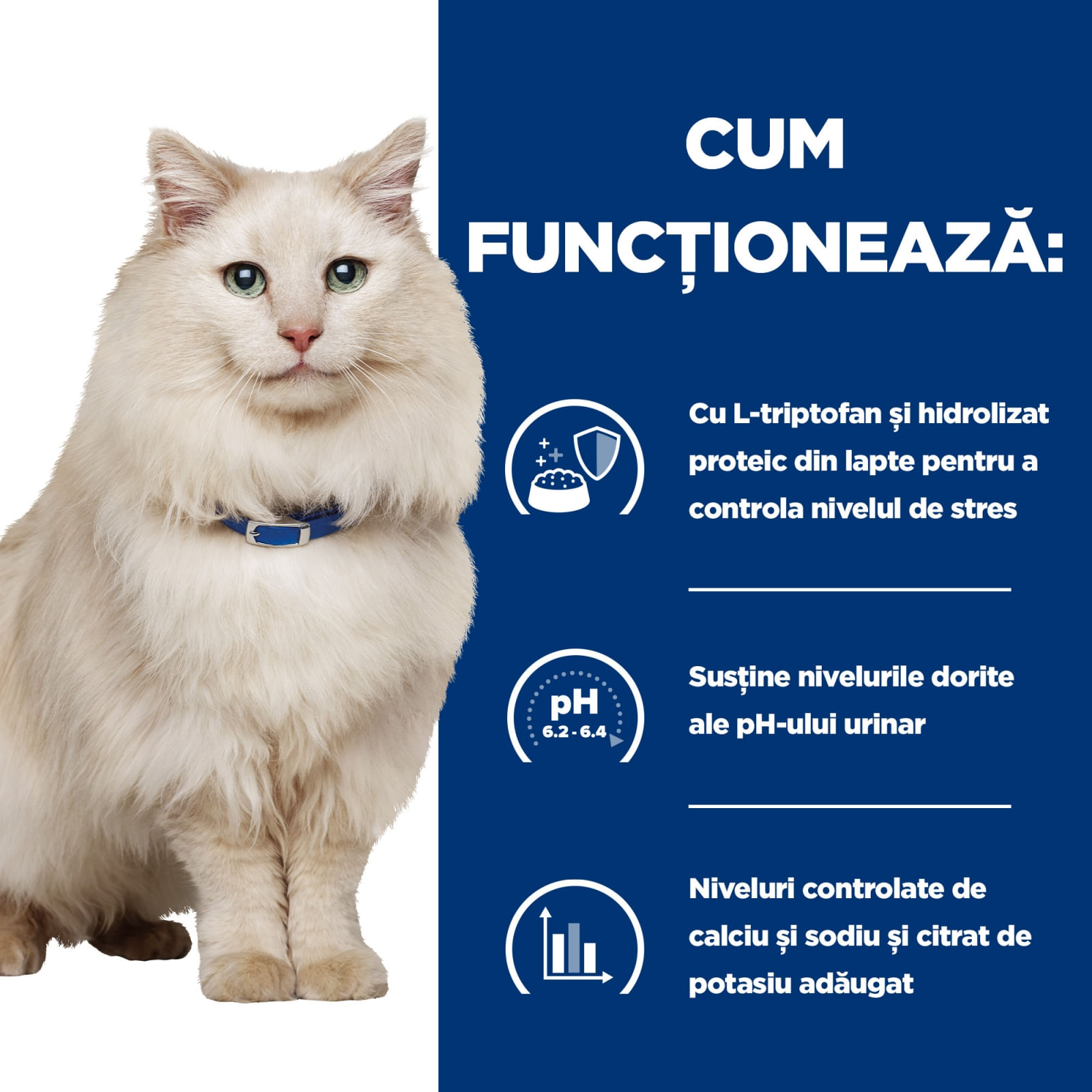 HILL'S Prescription Diet c/d Multicare Stress, Pește oceanic, dietă veterinară pisici, hrană uscată, sistem urinar, sistem nervos, 8kg - poza 3
