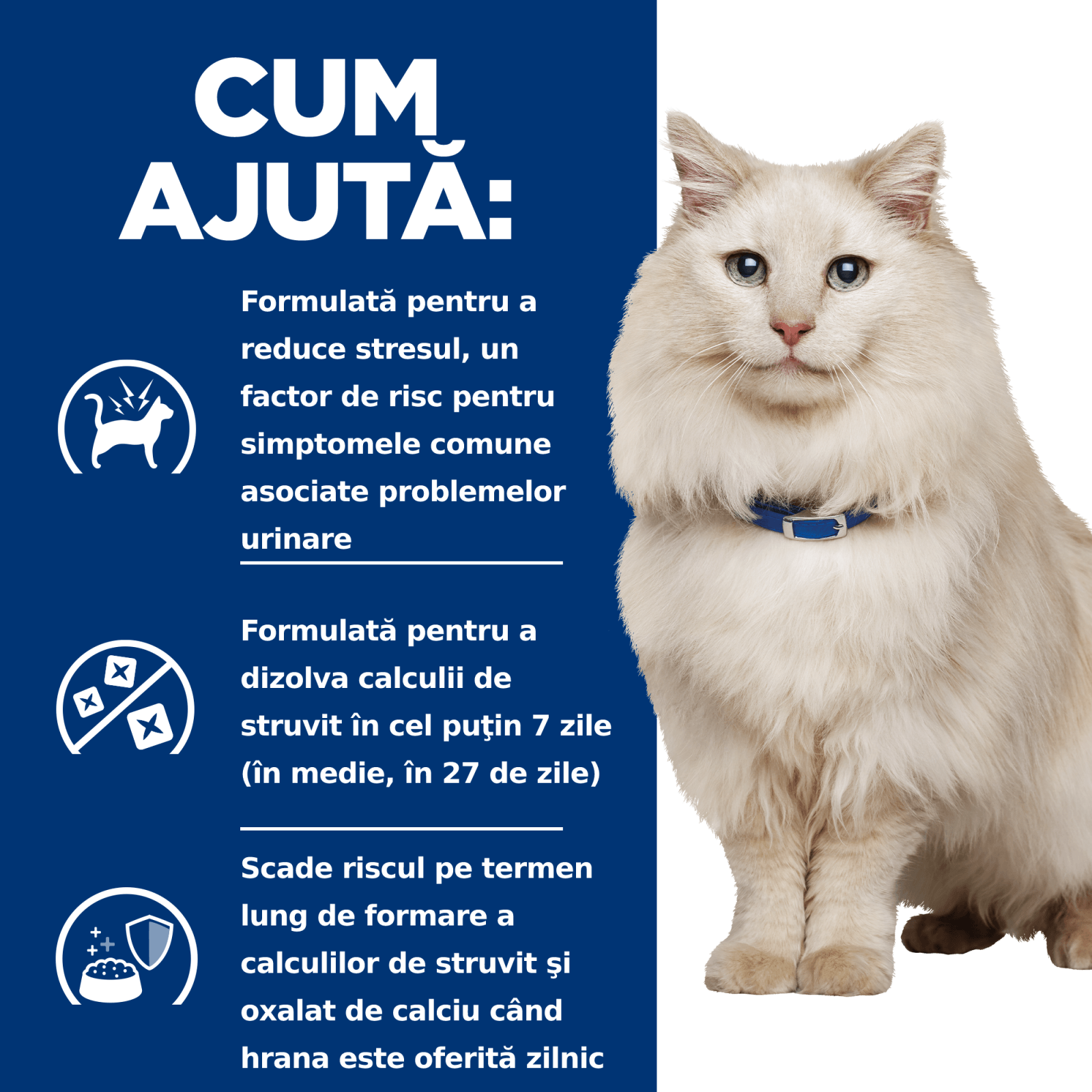 HILL'S Prescription Diet c/d Multicare Stress, Pește oceanic, dietă veterinară pisici, hrană uscată, sistem urinar, sistem nervos, 8kg - poza 5