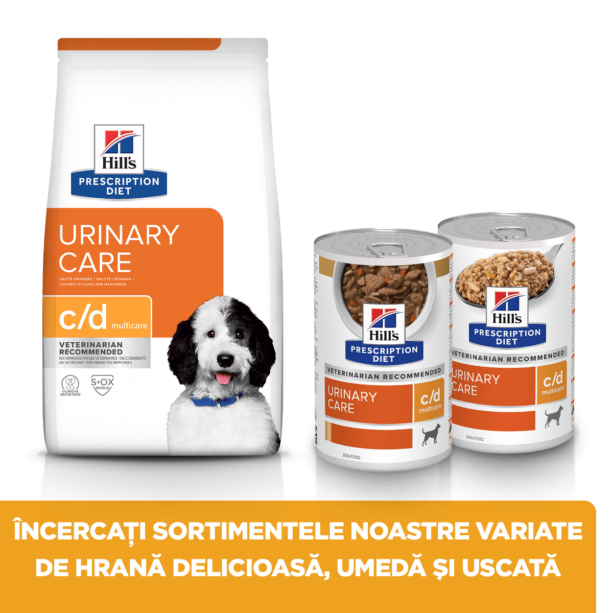 HILL'S Prescription Diet c/d, Pui, dietă veterinară câini, conservă hrană umedă, sistem urinar, 370g - poza 4