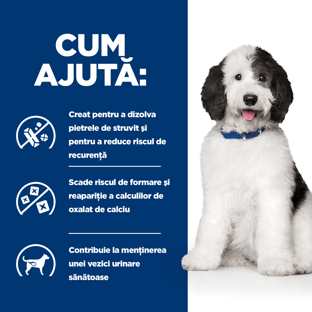 HILL'S Prescription Diet c/d, Pui, dietă veterinară câini, conservă hrană umedă, sistem urinar, 370g - poza 5