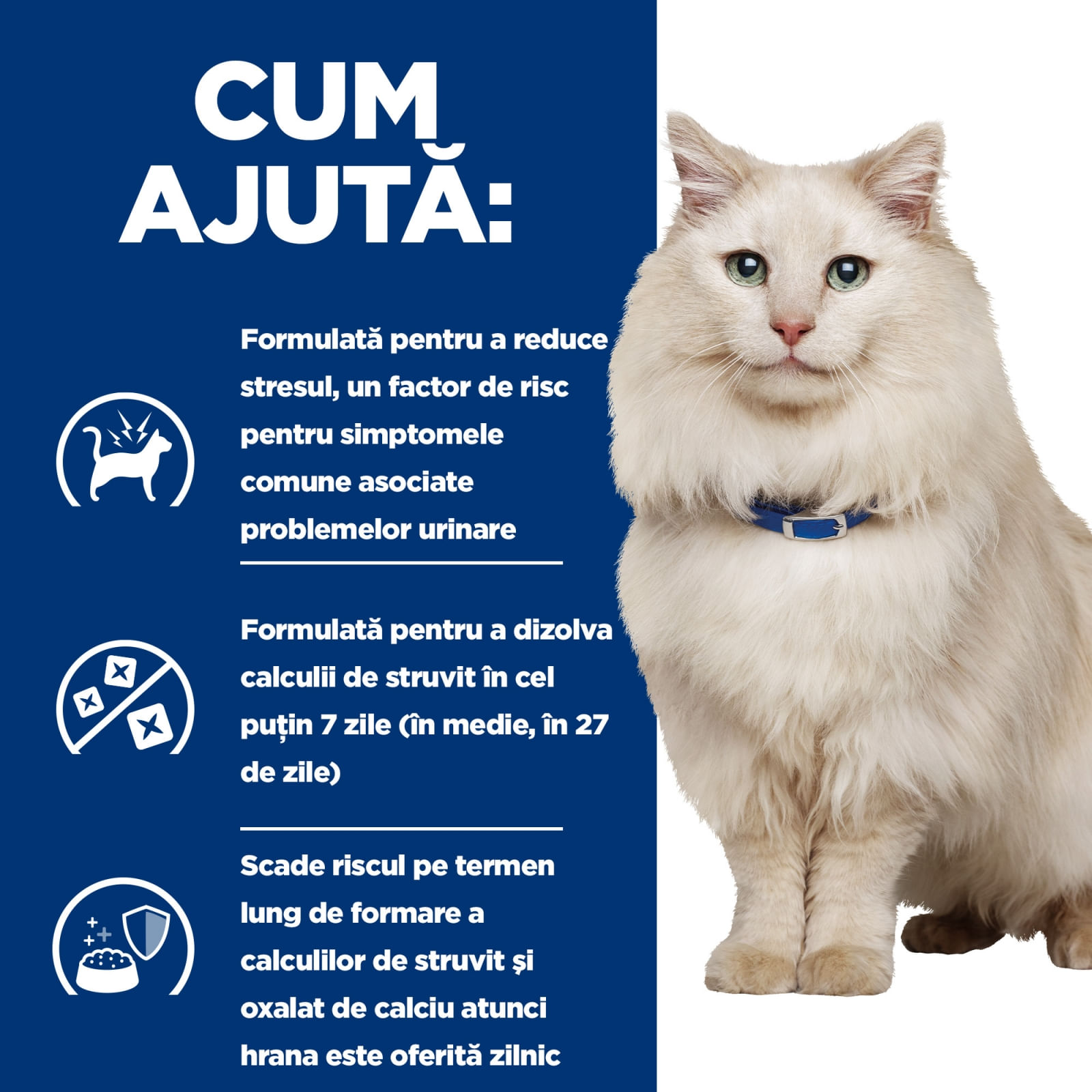 HILL'S PRESCRIPTION DIET c/d, Pui, dietă veterinară, plic hrană umedă pisici, sistem urinar, sistem nervos & calmante, (în sos), bax, 85g x 12buc - poza 3