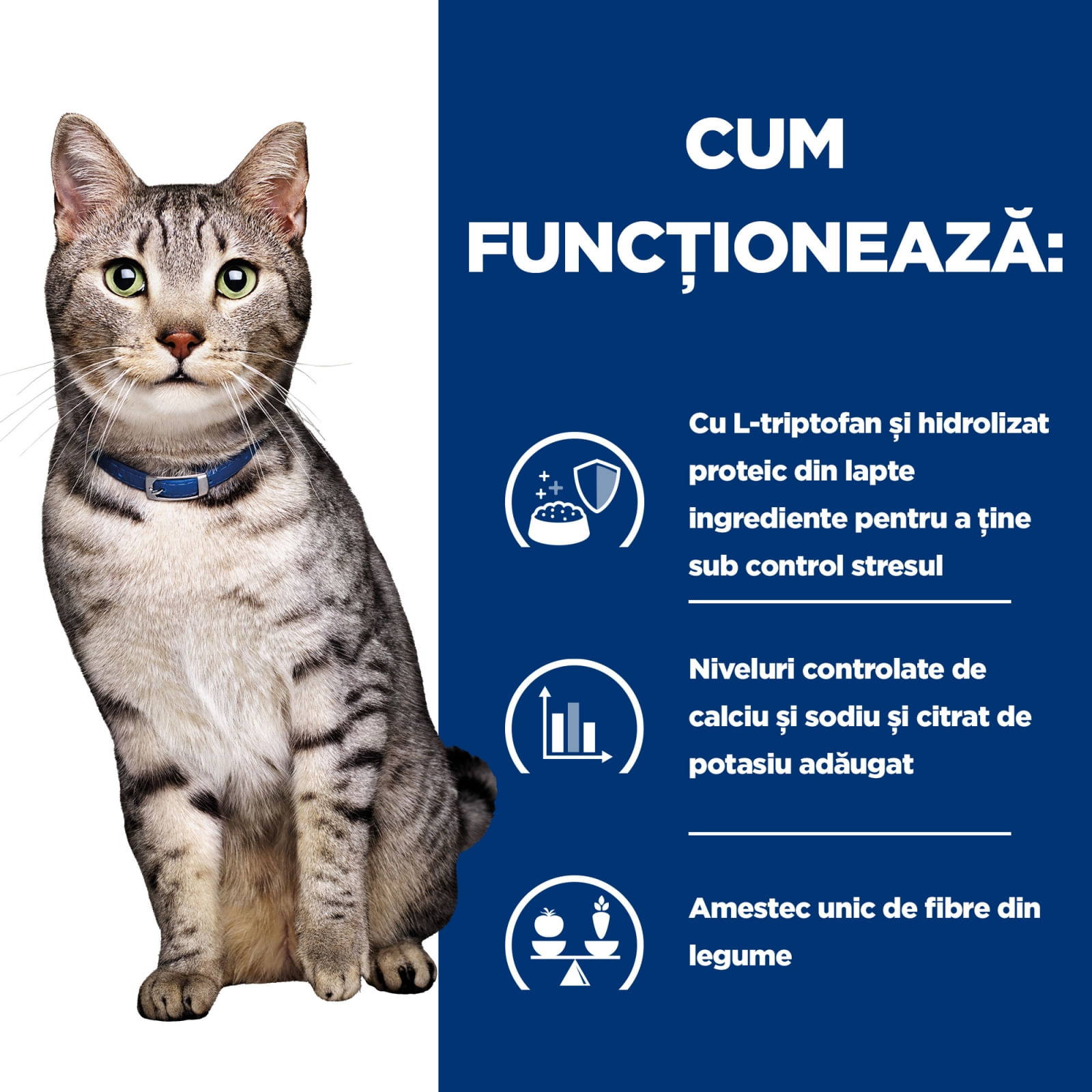 HILL'S Prescription Diet c/d Stress + Metabolic, Pui, dietă veterinară pisici, hrană uscată, sistem urinar, sistem nervos, metabolism, 1.5kg - poza 5