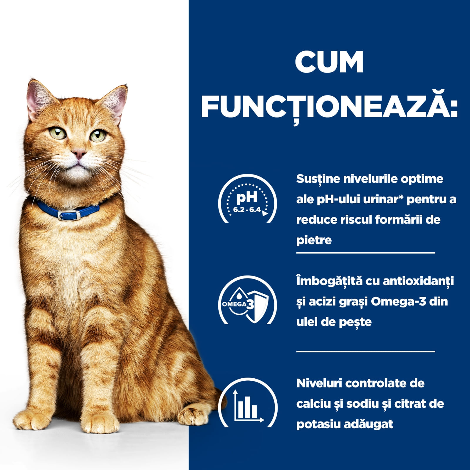 HILL'S Prescription Diet c/d Urinary Care, Pui, dietă veterinară pisici, plic hrană umedă, sistem urinar, (în sos), bax, 85g x 12buc - poza 3